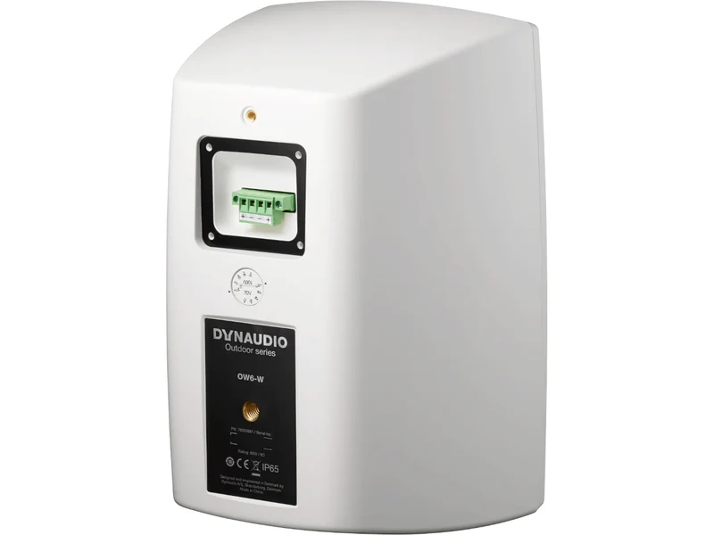 DYNAUDIO OW-6 (la paire)