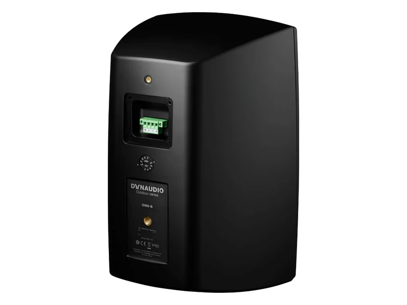 DYNAUDIO OW-8 (la paire)
