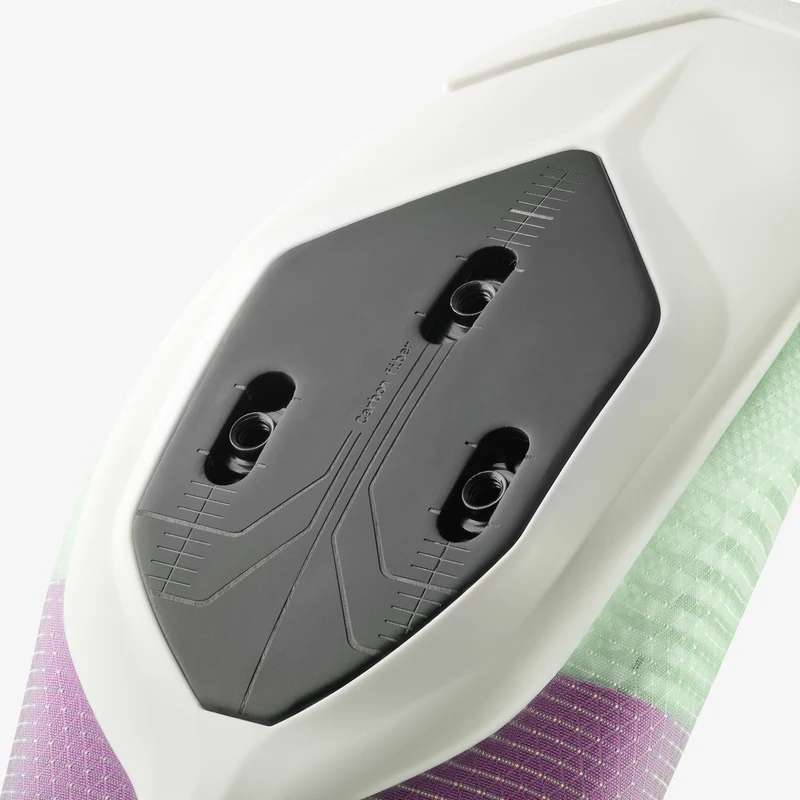 Vega Carbon