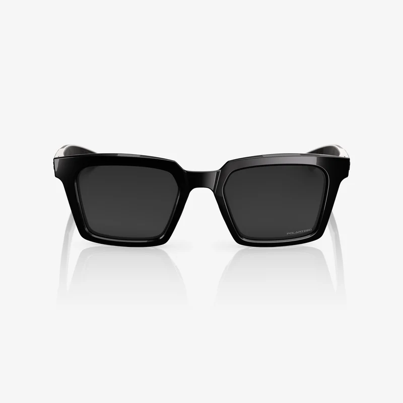 ERBA Polished Black Grey Polarized Lens