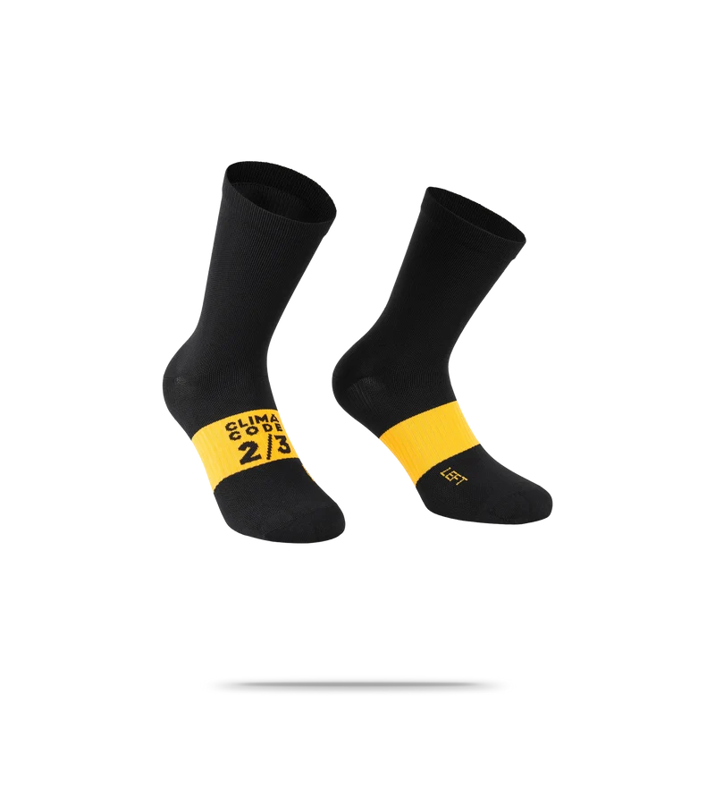 Spring Fall EVO Socks