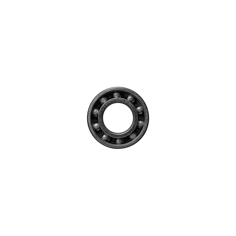 61901 Standard Bearing