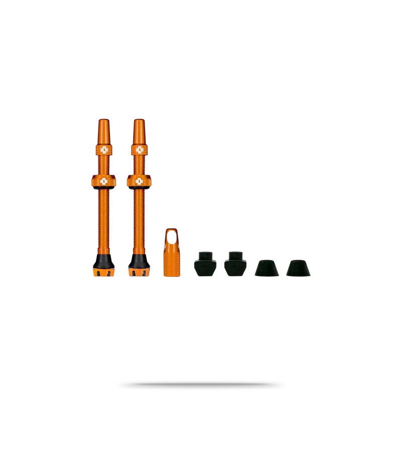 Tubeless Valve Kit V2