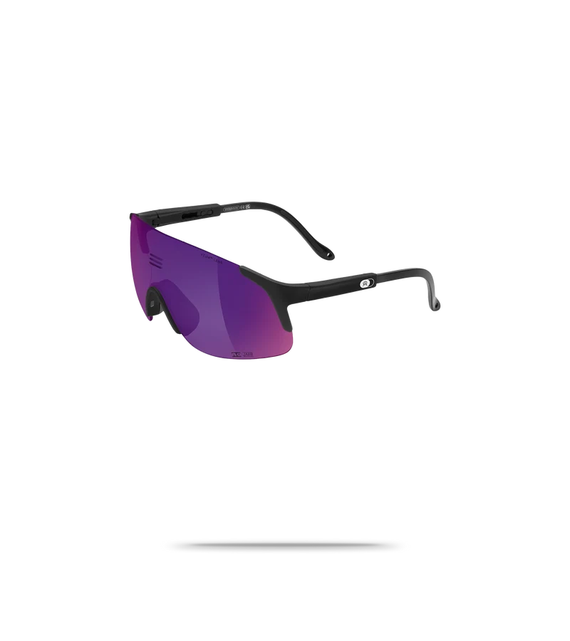 Jumbo Sunglasses