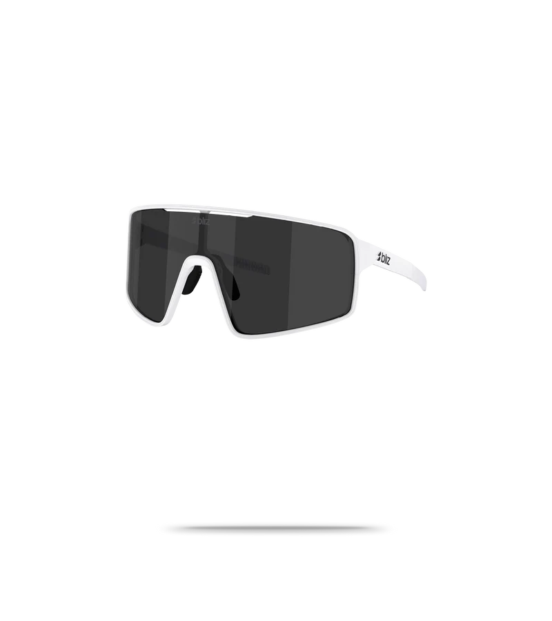 P001S Sunglasses