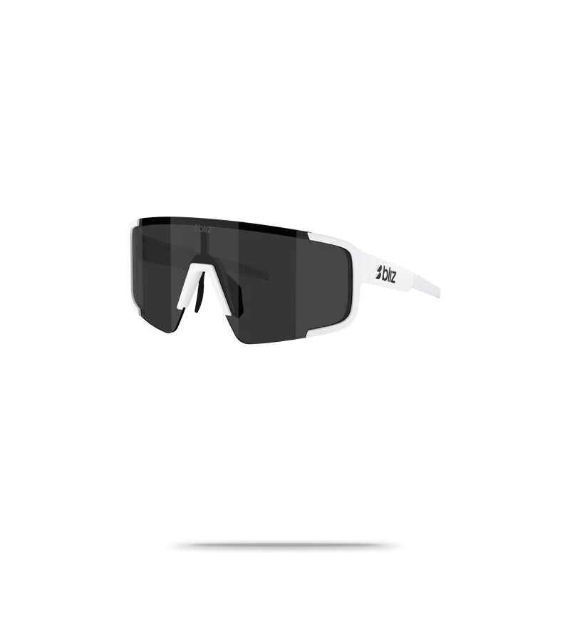 P003S Sunglasses