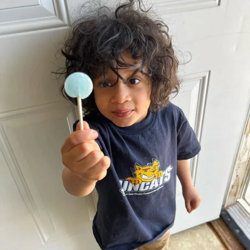 Zollipops Sugar-Free Lollipops – Bulk Tooth-Friendly Candy, Green Apple