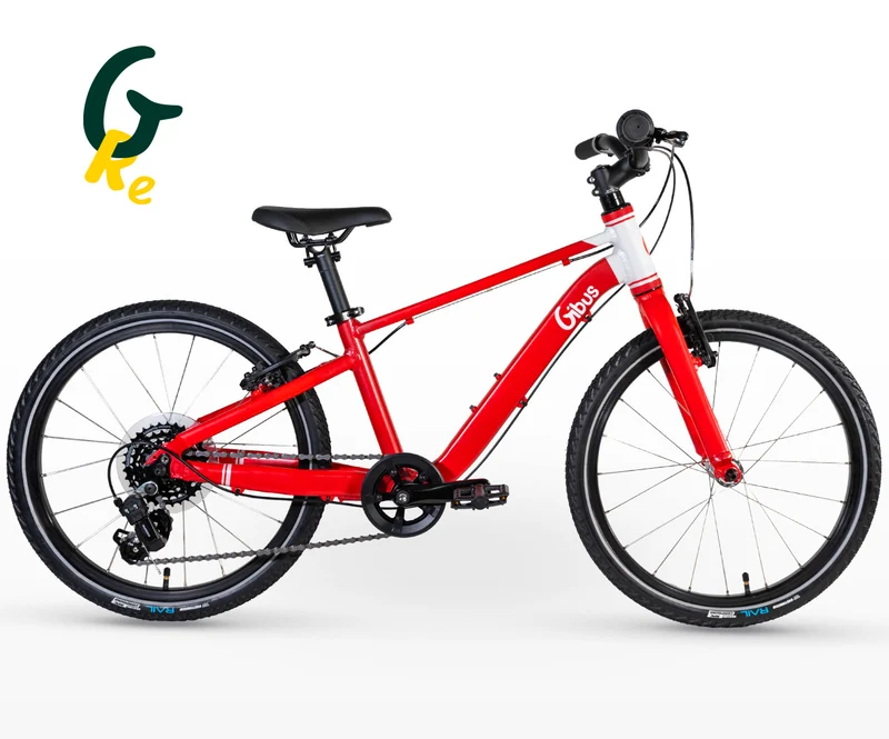 Vélo 20 pouces | Reconditionné