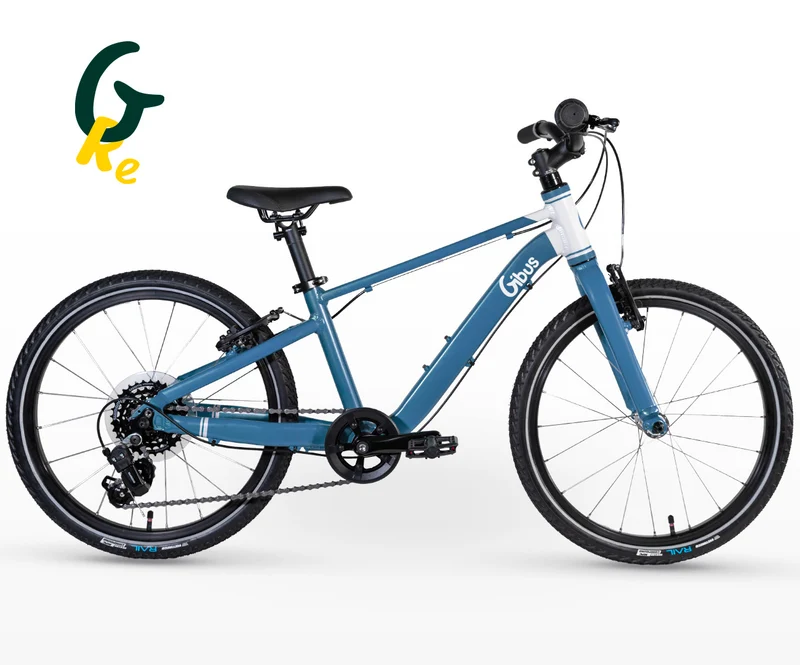 Vélo 20 pouces | Reconditionné