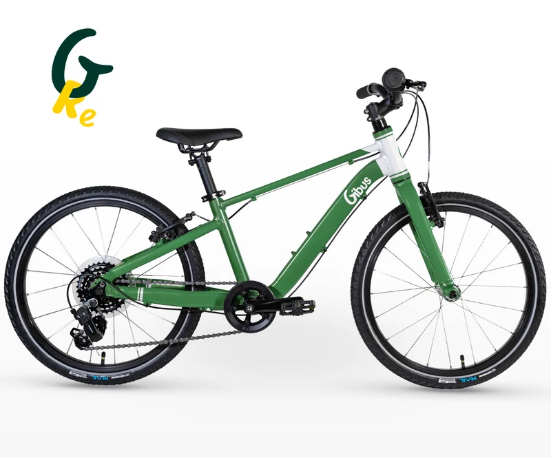 Vélo 20 pouces | Reconditionné