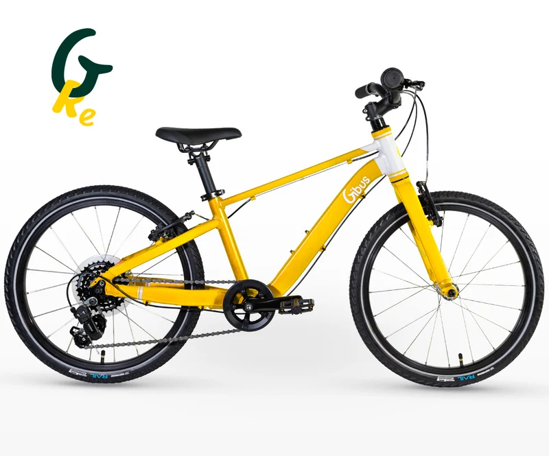 Vélo 20 pouces | Reconditionné
