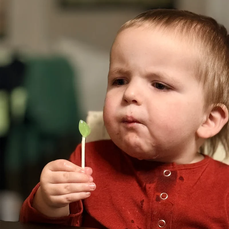 Zollipops Sugar-Free Lollipops – Tooth-Friendly Candy, Green Apple, 3.1oz Bag