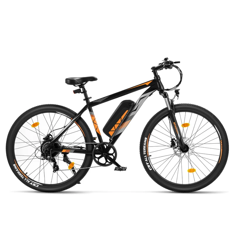 Touroll U2 Pro Mountain Electric Bike