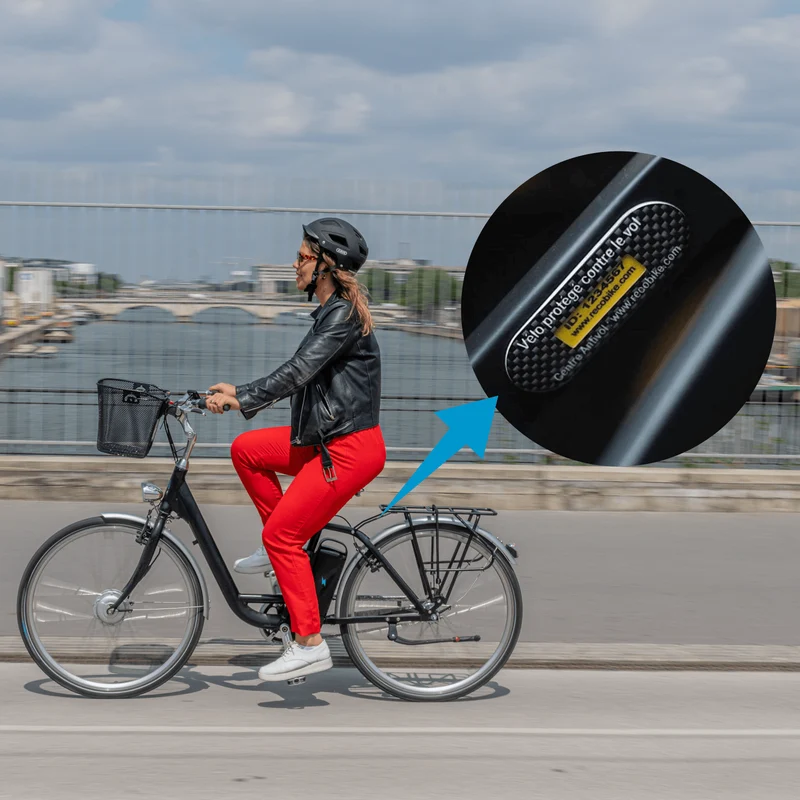 Model T 2025 - Momentum Electric