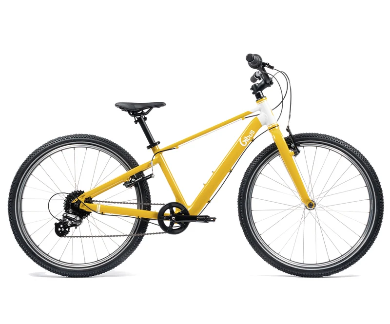 Vélo 24 pouces