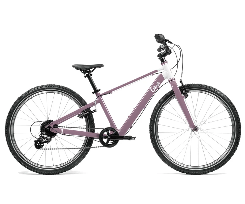 Vélo 24 pouces