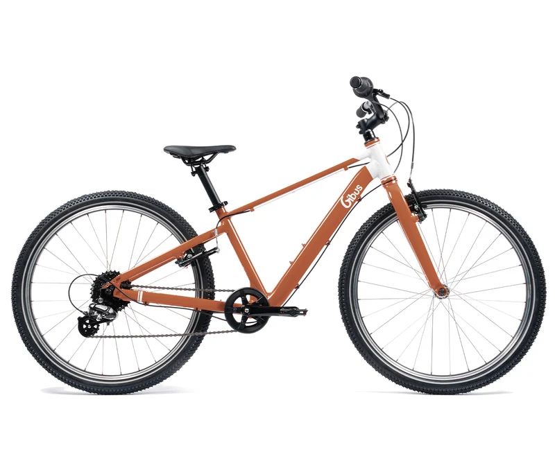 Vélo 24 pouces