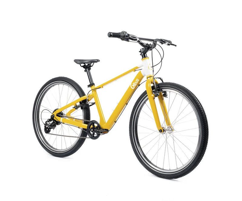 Vélo 24 pouces