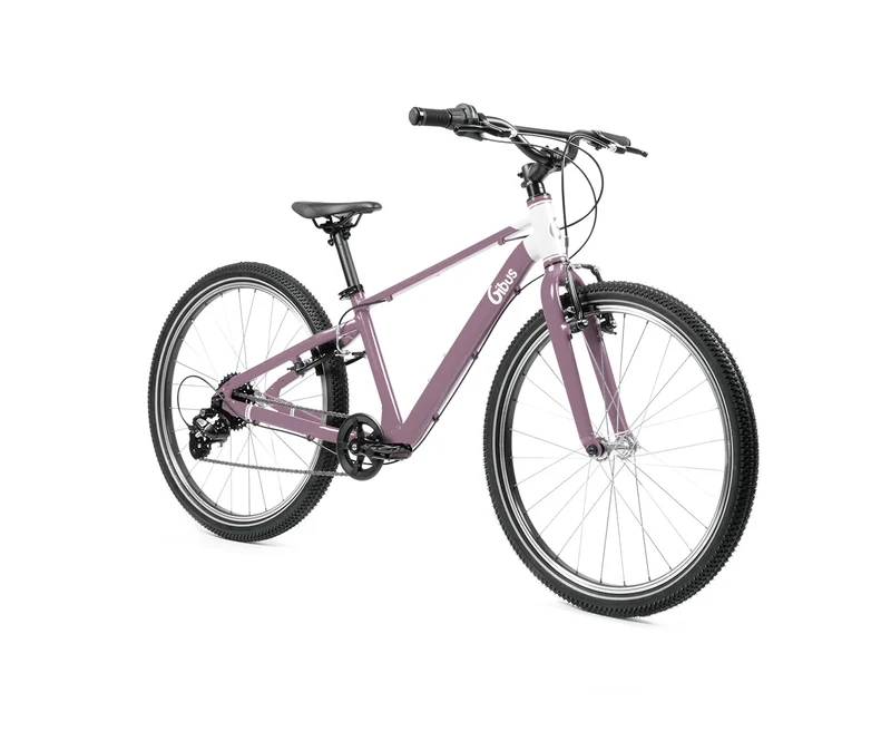 Vélo 24 pouces