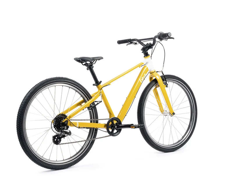 Vélo 24 pouces