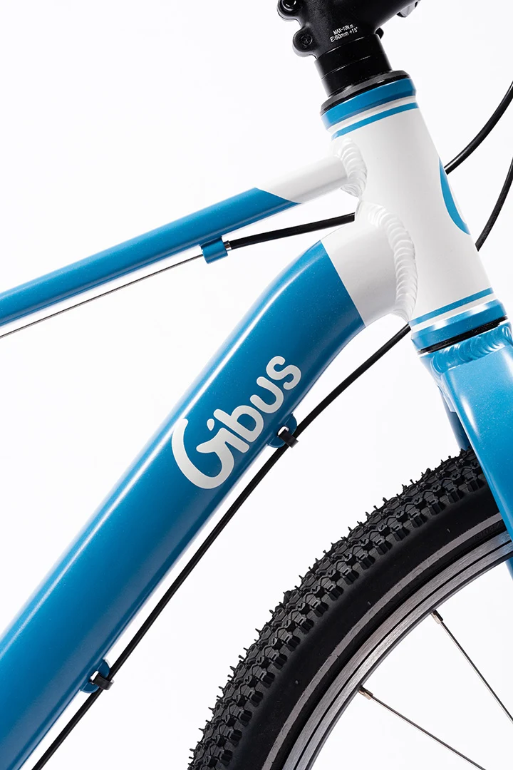 Vélo 24 pouces