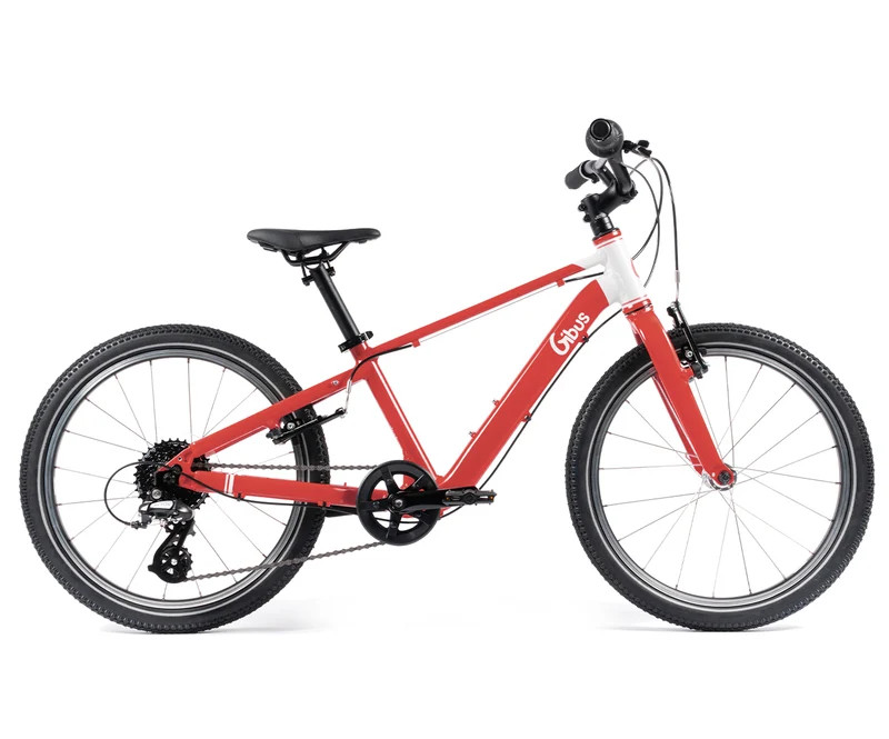 Vélo 20 pouces