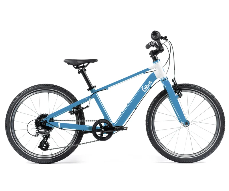 Vélo 20 pouces