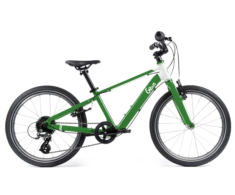 Vélo 20 pouces