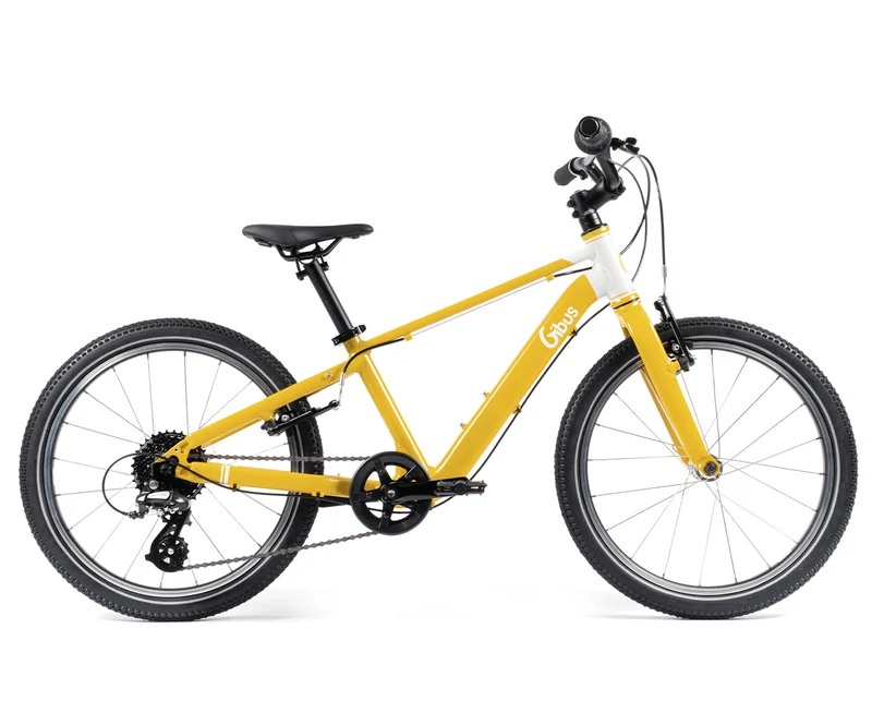 Vélo 20 pouces