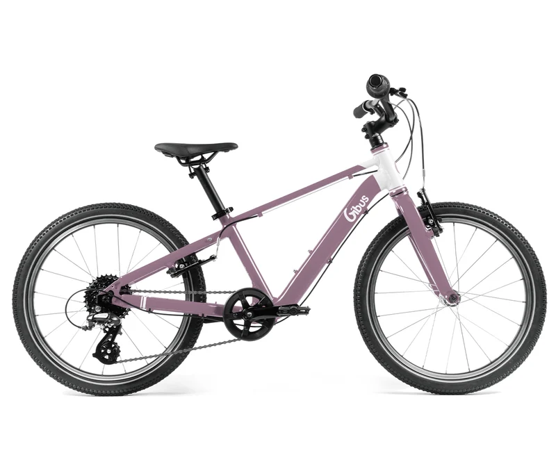 Vélo 20 pouces