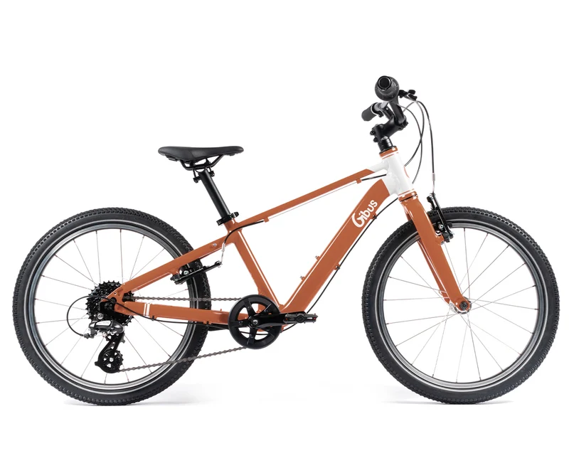 Vélo 20 pouces