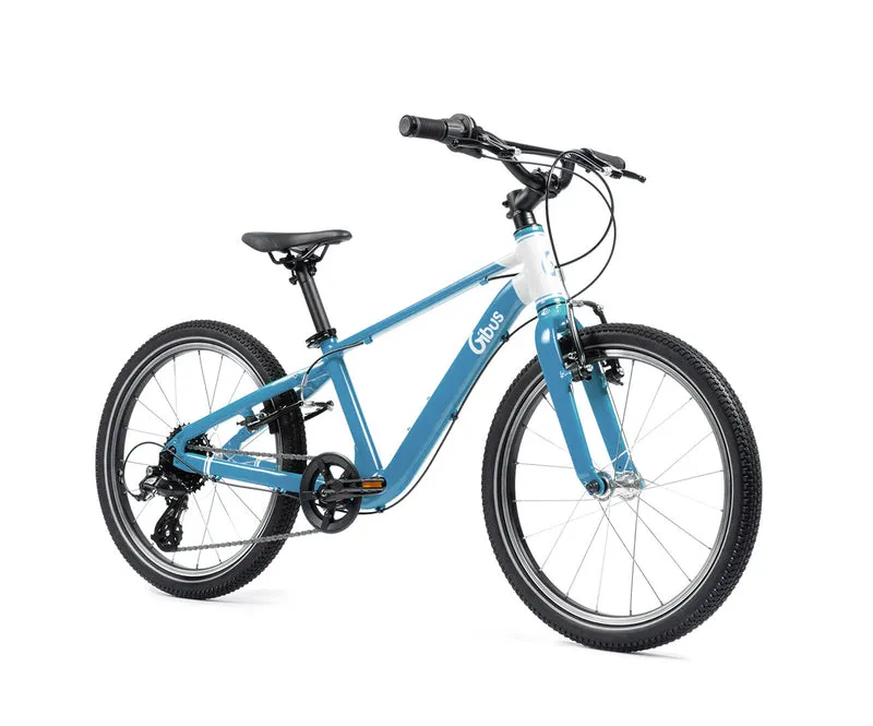 Vélo 20 pouces