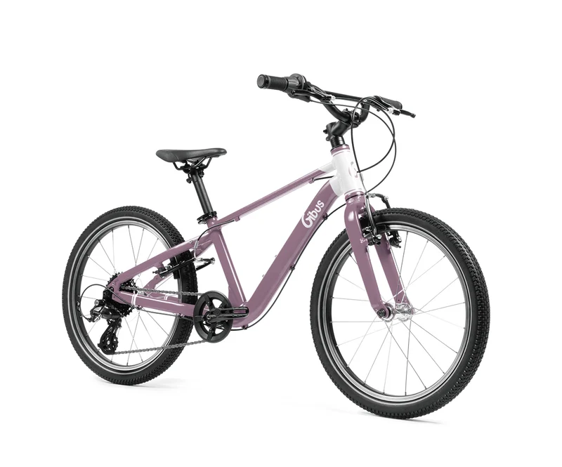 Vélo 20 pouces