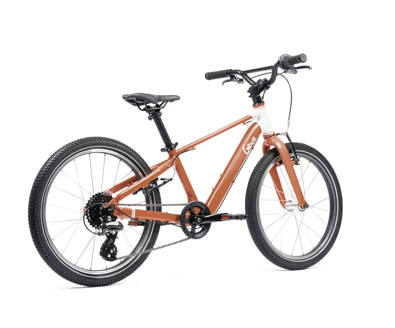 Vélo 20 pouces