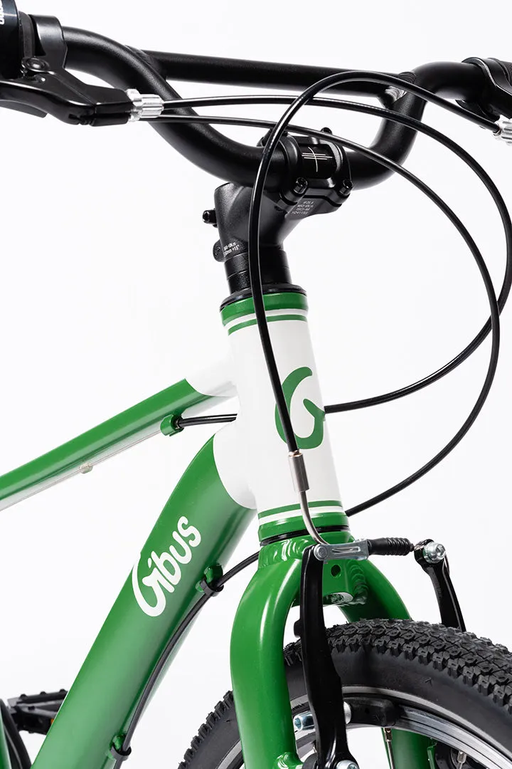 Vélo 20 pouces