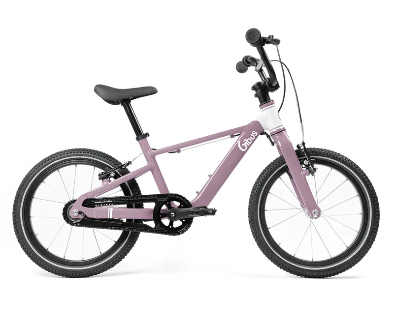 Vélo 16 pouces