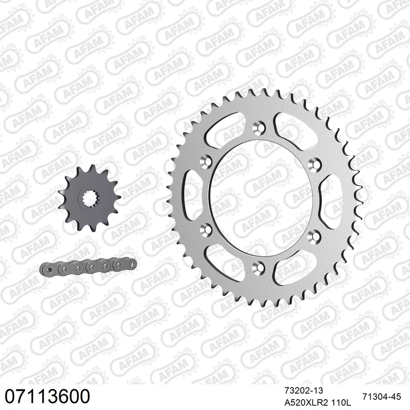 Pignon AFAM 73202 - 13 dents
