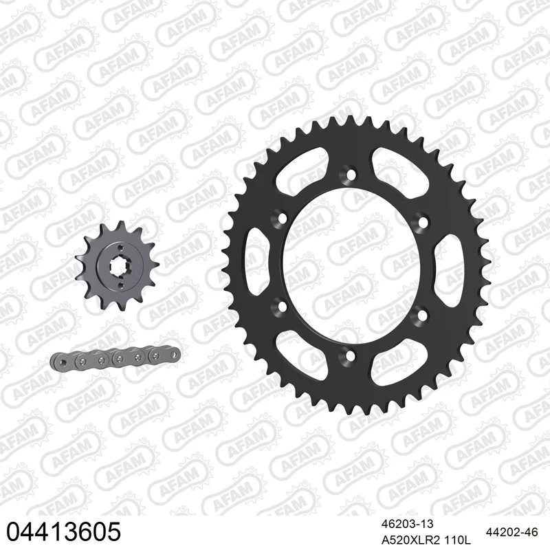 Pignon AFAM 46203 - 13 dents