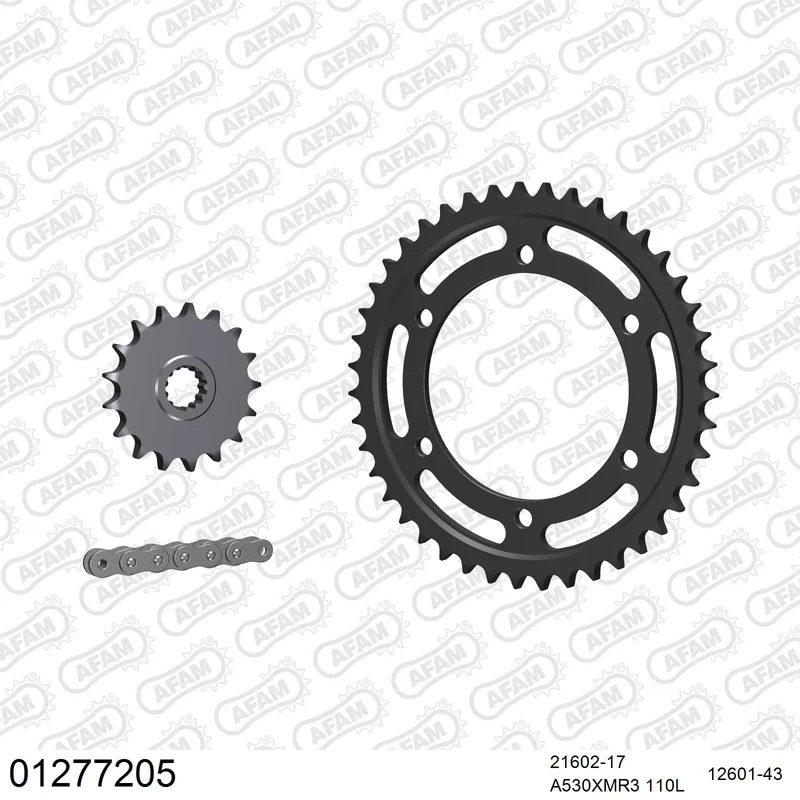 Pignon AFAM 21602 - 17 dents
