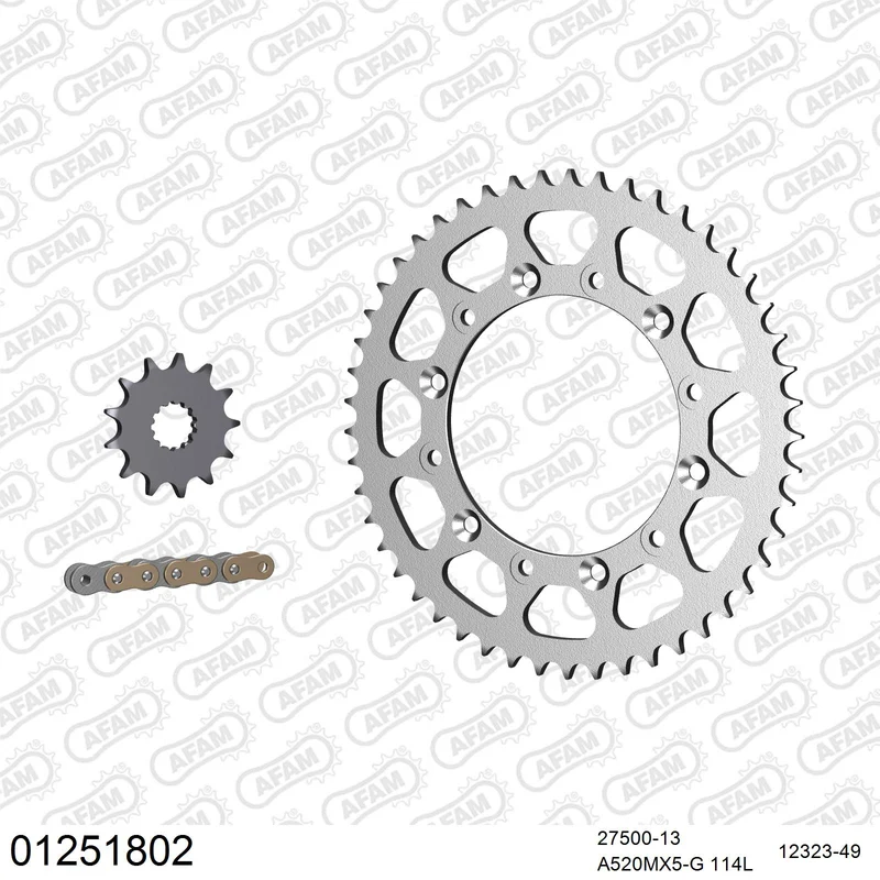 Pignon AFAM 27500 - 13 dents