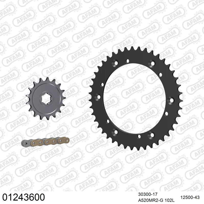 Pignon AFAM 30300 - 17 dents