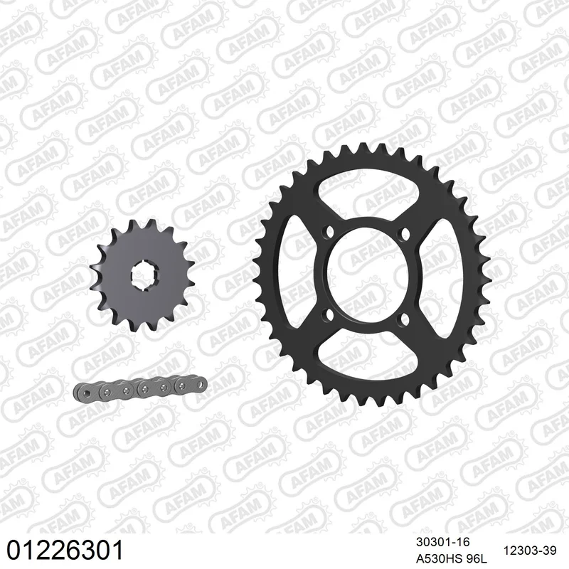 Pignon AFAM 30301 - 16 dents