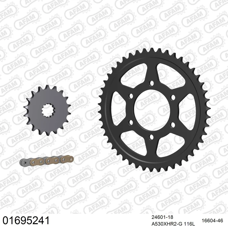 Kit chaîne AFAM Kawasaki Ninja ZX-12R