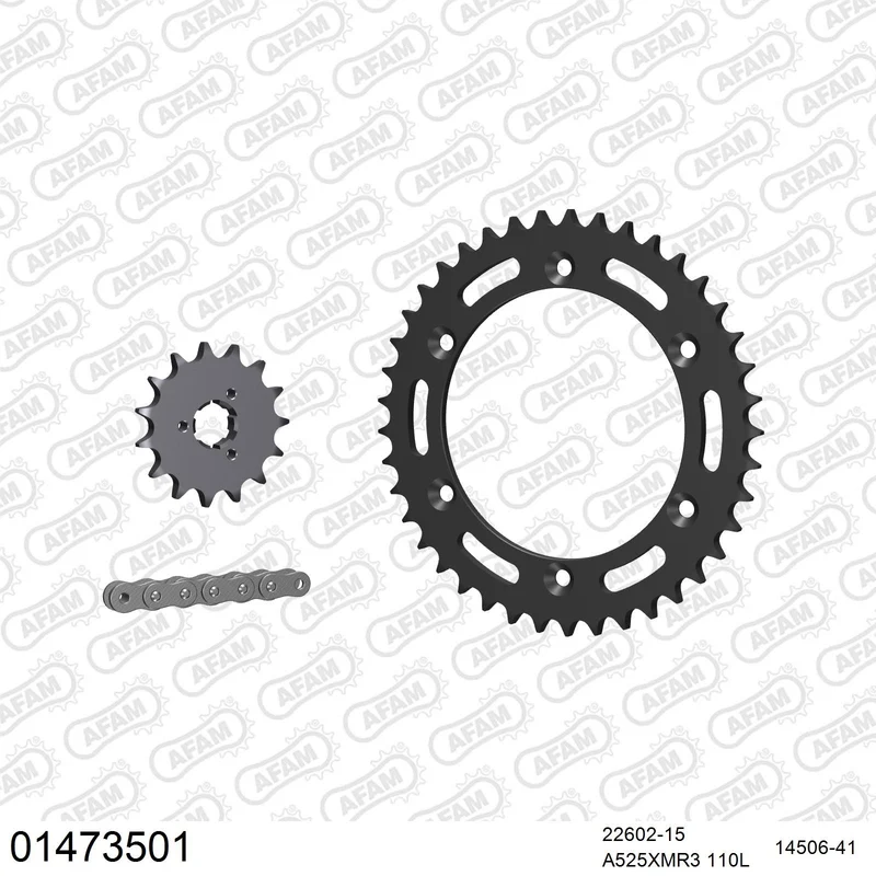 Kit chaîne AFAM Suzuki DR 650 SE