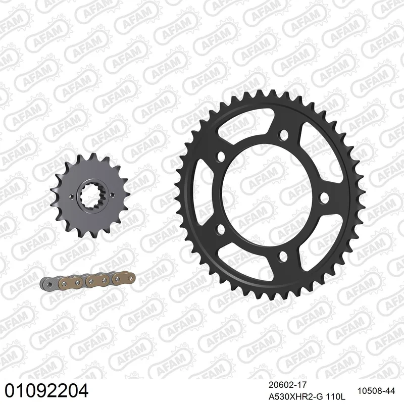 Kit chaîne AFAM Honda CBR 1100 XX Super Blackbird
