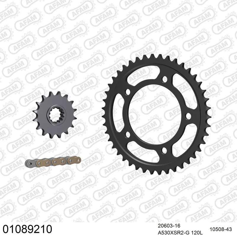 Kit chaîne AFAM Honda CBF 1000 ABS